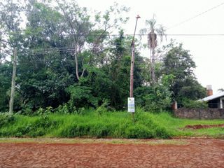 Foto 10 de TERRENO EN ARISTOBULO DEL VALLE