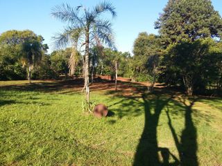Foto 10 de VN - Chacra en venta en San Ignacio de 4 Hectareas y 45 centiares