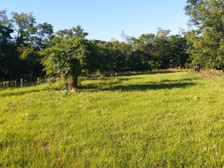 Foto 3 de VN - Chacra en venta en San Ignacio de 4 Hectareas y 45 centiares