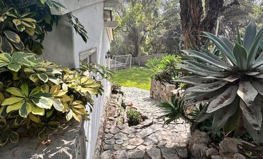 place photo 51