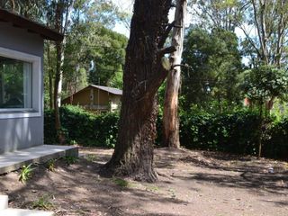 Foto 5 de Casa en alquiler temporario Bosque Peralta Ramos