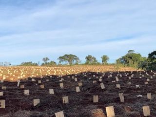 Foto 1 de LP - OPORTUNIDAD CHACRA YERBATERA, Misiones