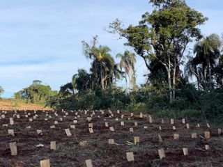 Foto 3 de LP - OPORTUNIDAD CHACRA YERBATERA, Misiones