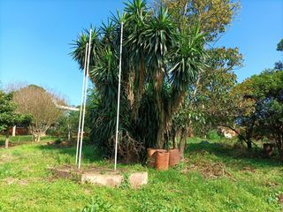 Foto 3 de Terreno en Venta sobre Av. de Las Americas
