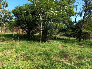 Foto 5 de Terreno en Venta sobre Av. de Las Americas