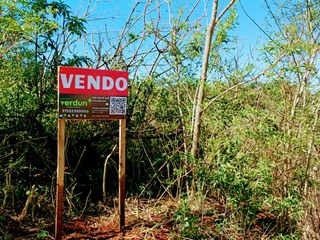 Foto 5 de Terrenos en venta a 500 m del Banco Macro con maravillosas vistas