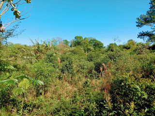 Foto 7 de Terreno en Venta 100 metros sobre Ruta Nac. 14 Zona Urbana