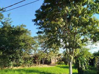 Foto 3 de Terreno en Venta en Barrio Suarez grande parqueado