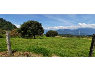 Foto 13 de Lotes en Tarso (Suroeste Antioqueño)