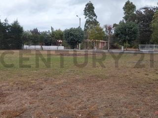 Foto 14 de TERRENO EN VENTA MALCHINGUI