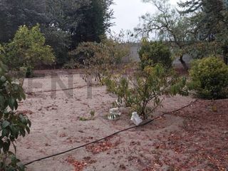 Foto 15 de TERRENO EN VENTA MALCHINGUI