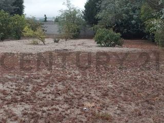 Foto 20 de TERRENO EN VENTA MALCHINGUI