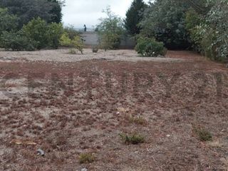 Foto 19 de TERRENO EN VENTA MALCHINGUI