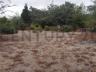 Foto 21 de TERRENO EN VENTA MALCHINGUI