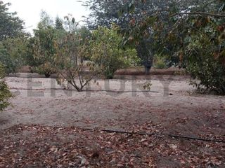 Foto 16 de TERRENO EN VENTA MALCHINGUI