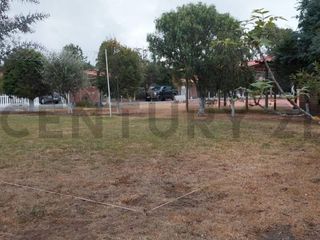 Foto 13 de TERRENO EN VENTA MALCHINGUI