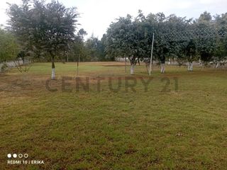 Foto 3 de TERRENO EN VENTA MALCHINGUI