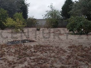 Foto 17 de TERRENO EN VENTA MALCHINGUI