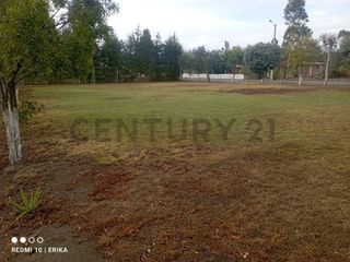 Foto 4 de TERRENO EN VENTA MALCHINGUI