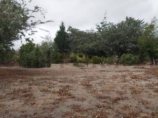 Foto 18 de TERRENO EN VENTA MALCHINGUI
