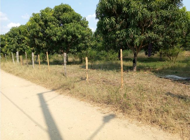 place photo 7