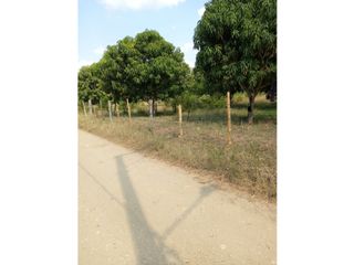 Foto 4 de VENDO LOTE RICAURTE SECTOR LOS MANUELES $330.000.000