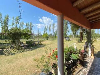 Foto 4 de Finca con casa en Calle L, Carmensa - General Alvear