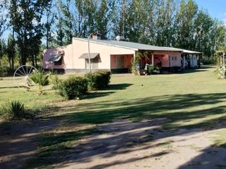 Foto 16 de Finca con casa en Calle L, Carmensa - General Alvear