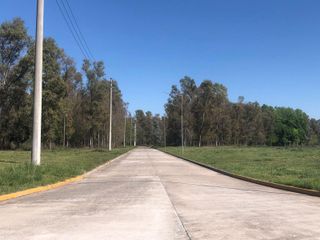Foto 10 de Depósito en  Alquiler