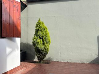 Foto 17 de Departamento en planta baja sin expensas, con patio! APTO CREDITO