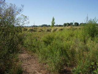 Foto 3 de TERRENO EN VENTA LOTEO RURAL TUNUYÁN -LA PRIMAVERA
