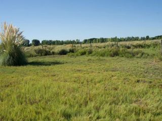 Foto 5 de TERRENO EN VENTA LOTEO RURAL TUNUYÁN -LA PRIMAVERA