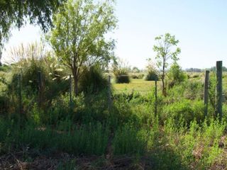 Foto 2 de TUNUYÁN VENTA DE TERRENO EN LOTEO RURAL
