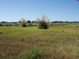 Foto 3 de TUNUYÁN VENTA DE TERRENO EN LOTEO RURAL