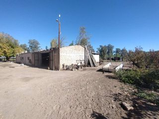 Foto 8 de Venta de Finca en La Dormida, Santa Rosa, Mendoza