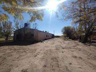 Foto 7 de Venta de Finca en La Dormida, Santa Rosa, Mendoza