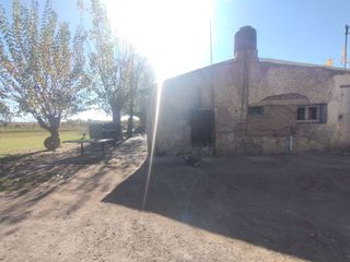 Foto 10 de Venta de Finca en La Dormida, Santa Rosa, Mendoza