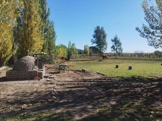 Foto 6 de Venta de Finca en La Dormida, Santa Rosa, Mendoza