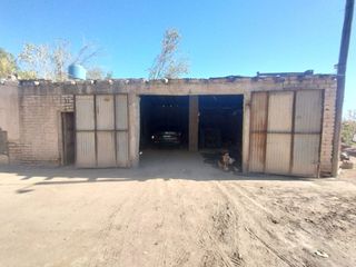 Foto 9 de Venta de Finca en La Dormida, Santa Rosa, Mendoza