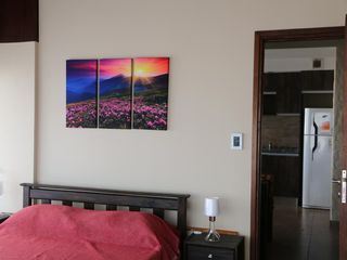 Foto 9 de Departamento en  San Carlos - Playa Grande