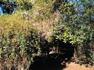 Foto 11 de Casa en  alquiler en Senderos 2