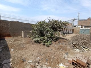 Foto 5 de LURÍN - VENTA TERRENO - ÁREA 301 m2