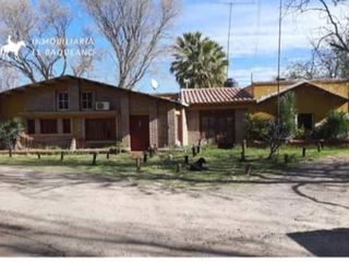 Foto 1 de VENTA FINCA EN PRODUCCION RIVADAVIA MENDOZA