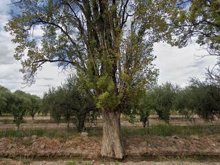 Foto 3 de Venta amplio Lote Ruta 60 Rodeo del Medio Maipú