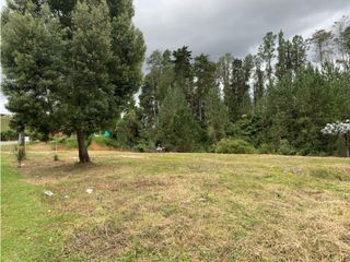 Foto 14 de Venta de Lote Comercial Sobre Carretera Las Palmas Vía Principal