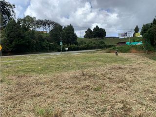 Foto 13 de Venta de Lote Comercial Sobre Carretera Las Palmas Vía Principal