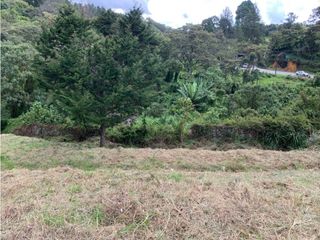 Foto 12 de Venta de Lote Comercial Sobre Carretera Las Palmas Vía Principal