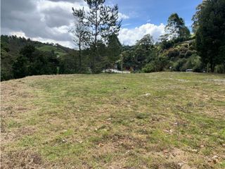 Foto 5 de Venta de Lote Comercial Sobre Carretera Las Palmas Vía Principal