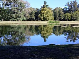 Foto 8 de Terreno en venta - 25.000Mts2 - Estancia Benqueria, Monte