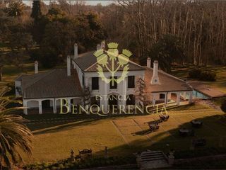 Foto 2 de Terreno en venta - 25.000Mts2 - Estancia Benqueria, Monte
